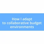 How I adapt to collaborative budget environments