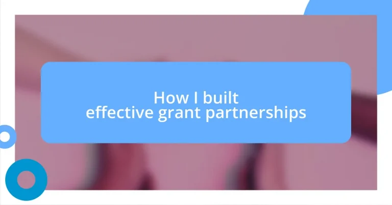 How I built effective grant partnerships