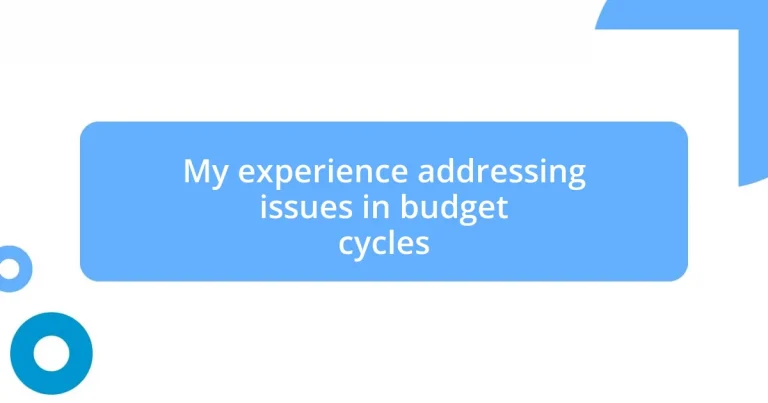 My experience addressing issues in budget cycles